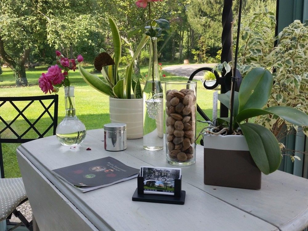 Villa Seine En Bulles Bar-sur-Seine Esterno foto